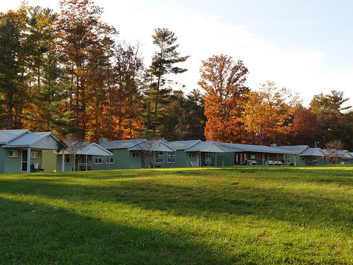 Cabins in forest during autumn with green lawn