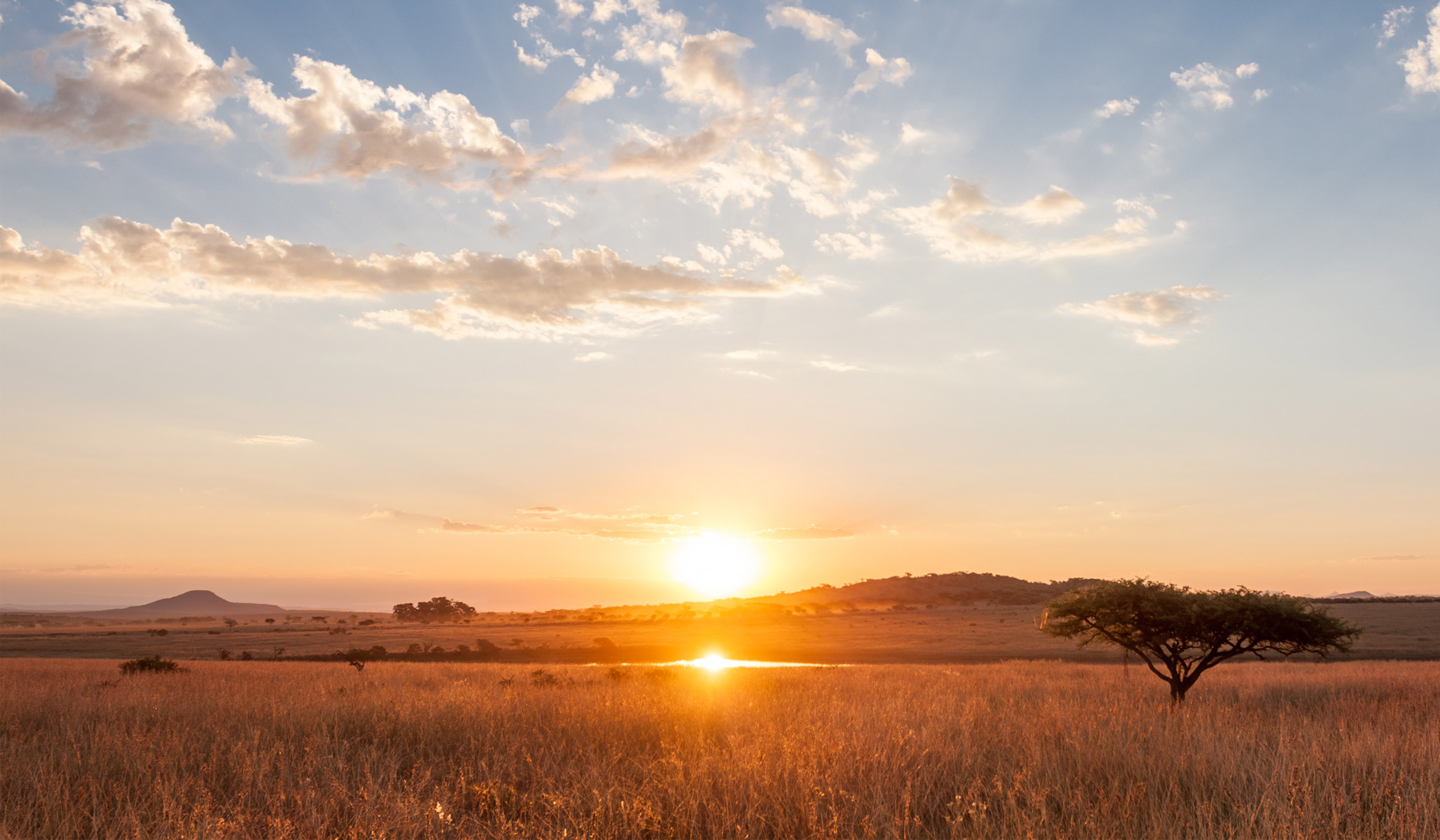 Sunset over grassy plains with lone tree.