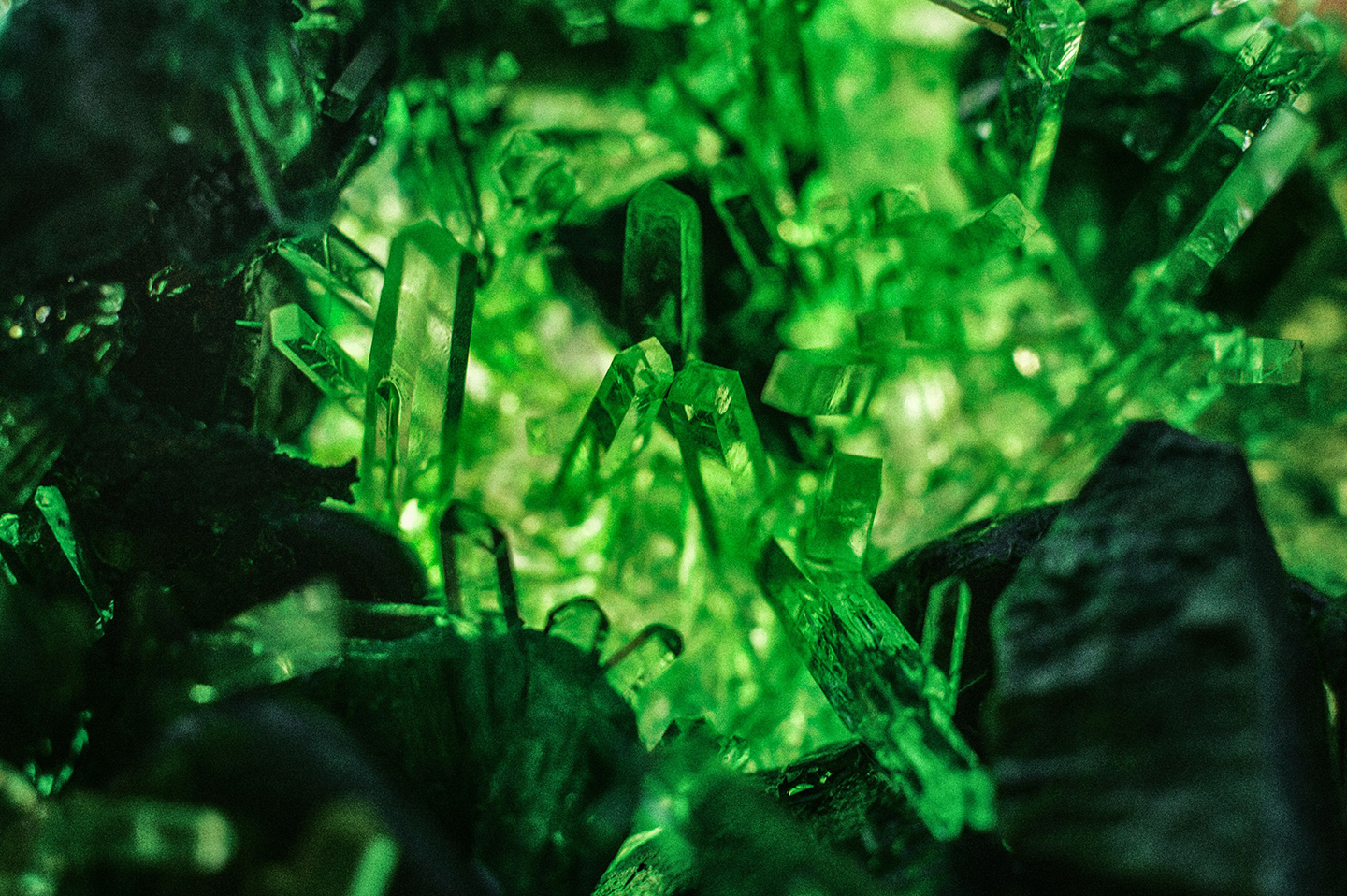julia kadel asgjglrukco unsplash