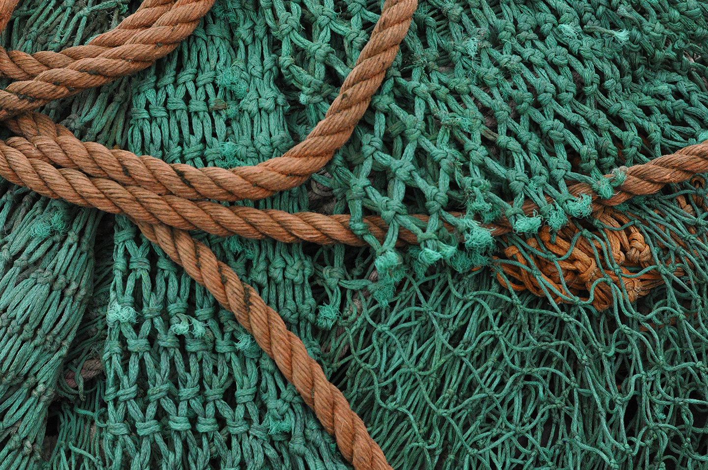 kristin snippe 3odfxgvfnp8 unsplash