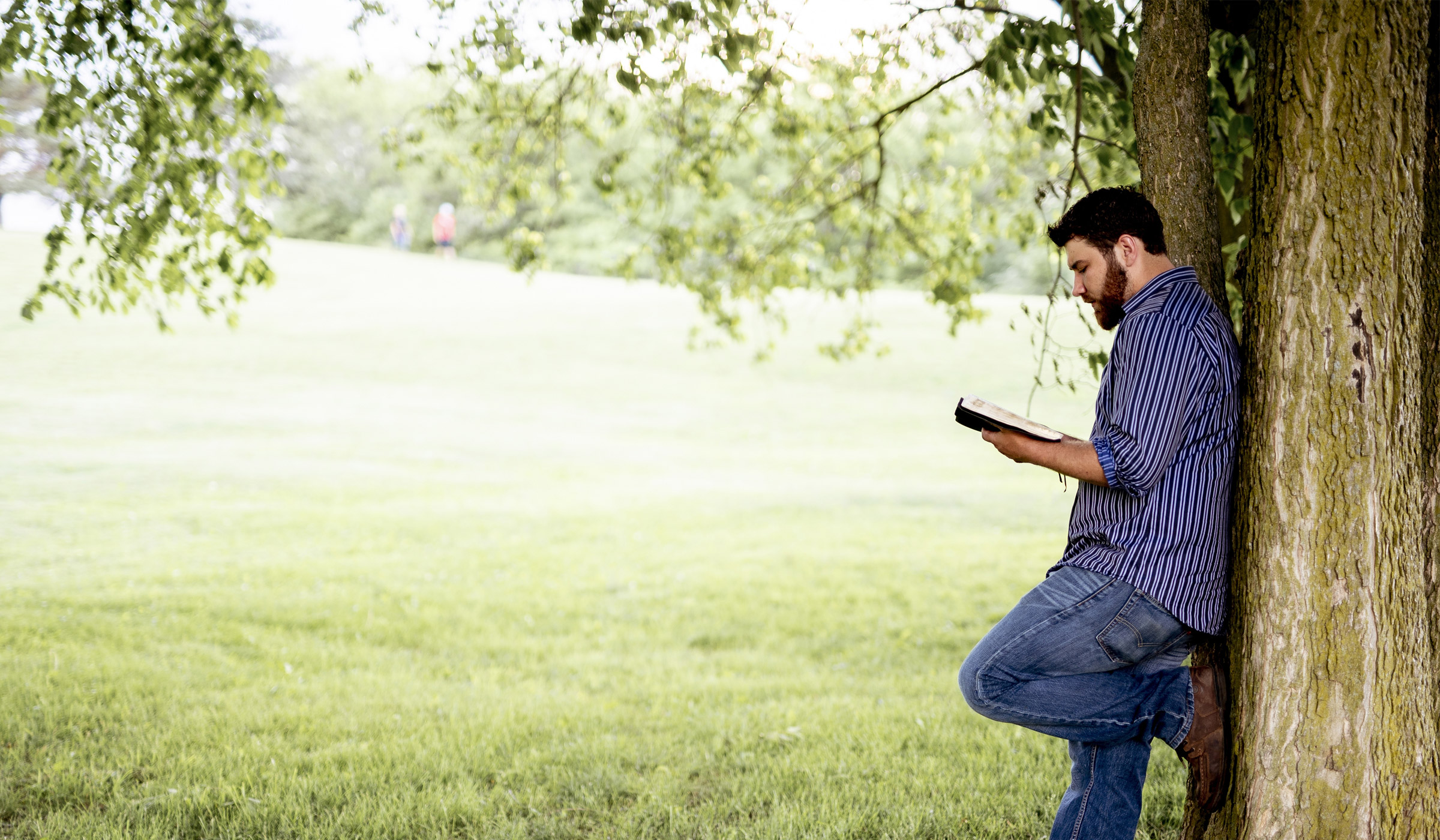 Man reading under tree in peaceful park