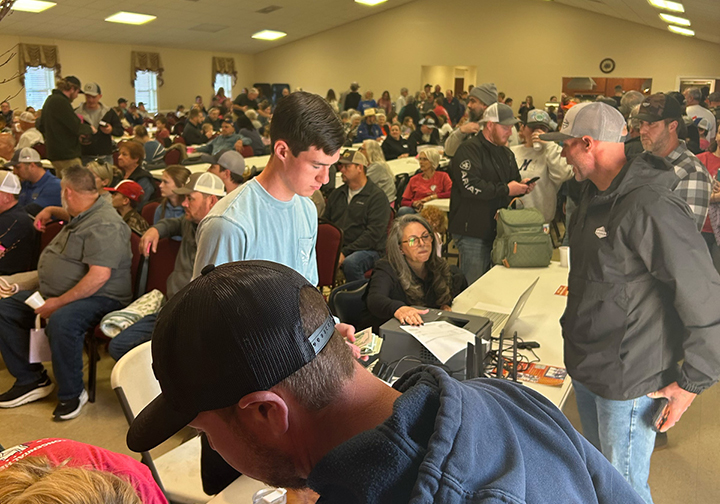 shadesofnathansmaller