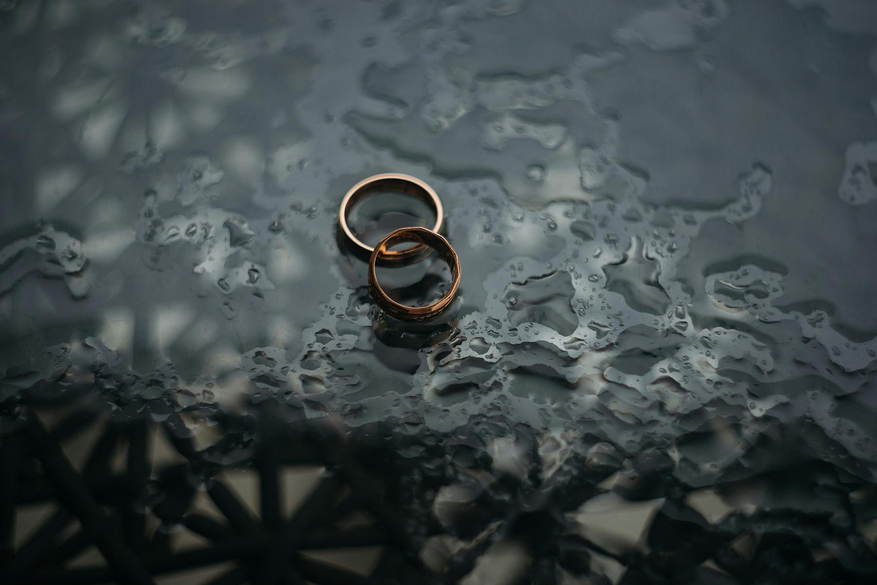 zoriana stakhniv puvghybgzn8 unsplash